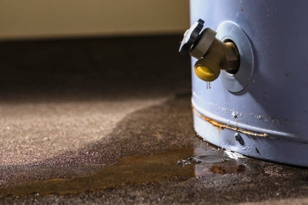 Best Water damage restoration near me  in Beechwood Trails, OH