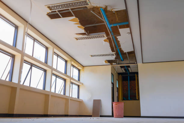Best Basement water damage restoration  in Beechwood Trails, OH