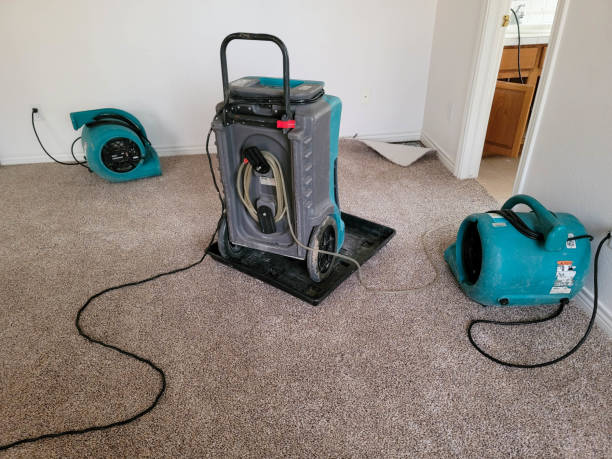 Best 24-hour water damage restoration  in Beechwood Trails, OH