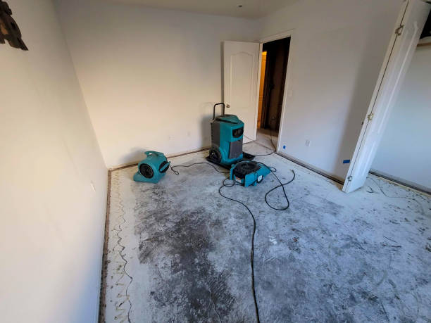 Best Carpet water damage restoration  in Beechwood Trails, OH