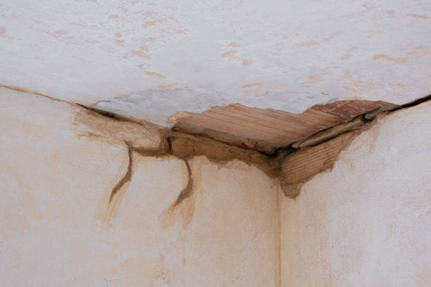 Best Mold removal after water damage  in Beechwood Trails, OH
