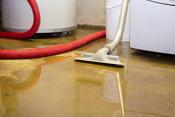 Best 24/7 water damage repair  in Beechwood Trails, OH