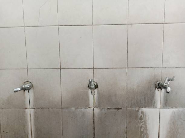 Best Ceiling water damage repair  in Beechwood Trails, OH