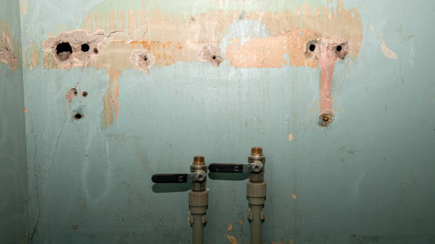 Reliable Beechwood Trails, OH Water damage restoration Solutions