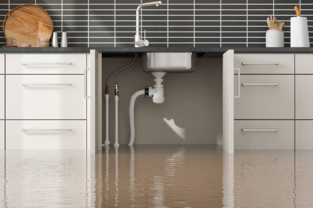 Best Water damage restoration near me  in Beechwood Trails, OH