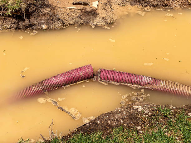 Best Water damage contractors near me  in Beechwood Trails, OH